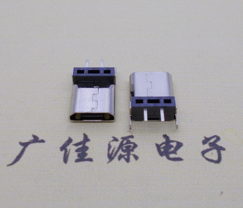 無卷邊180度鉚合式micro 2p直插母座H=9.3、10.0、10.5、11.5mm