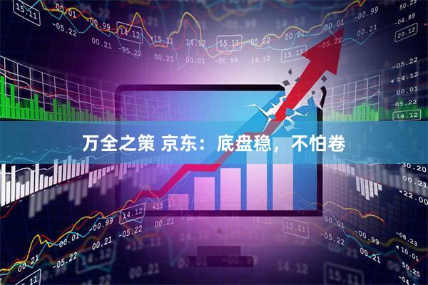 万全之策 京东：底盘稳，不怕卷