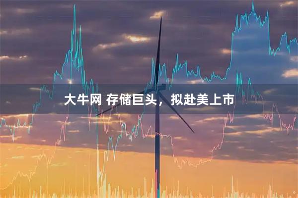 大牛网 存储巨头，拟赴美上市