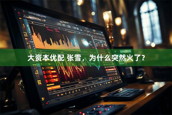 大资本优配 张雪，为什么突然火了？