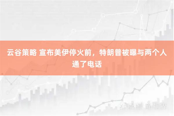 云谷策略 宣布美伊停火前，特朗普被曝与两个人通了电话