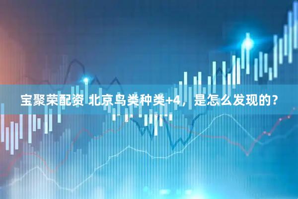 宝聚荣配资 北京鸟类种类+4，是怎么发现的？
